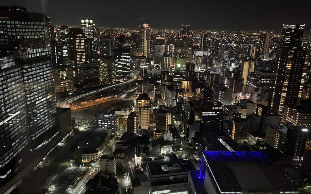 Japan’s largest cemetery, Osaka by night, and more cats